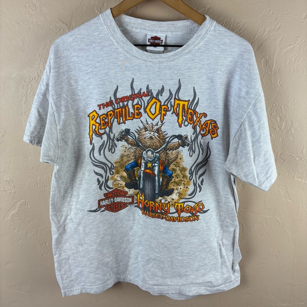 Harley-Davidson Gray Short Sleeve Graphic Tee Horny Toads Temple TX Men’s Large